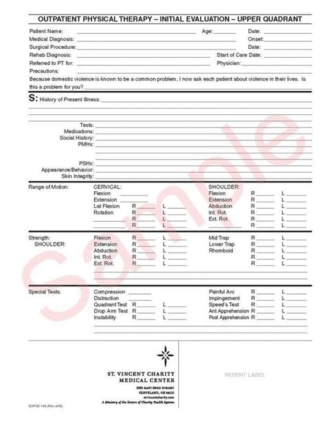 Editable Physical Therapy Evaluation Form With From Physical Occupational Therapy Daily Note