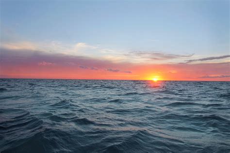 The gulf stream triples in volume and is strengthened by the waters from the florida straits, by way of the florida current, and by currents coming from the northern and eastern coast of puerto rico. Gulf Stream, Florida #sailing #sunset #boatlife # ...