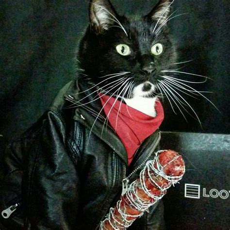 Pin By Scorpio Demonhunter On The Walking Dead Cat Cosplay Cute Cats