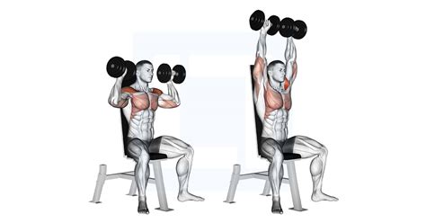 Dumbbell Seated Shoulder Press Guide Benefits And Form