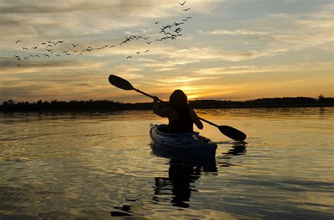 Woman Kayaking At Sunset On Lake Ontario Photograph By Gord Horne