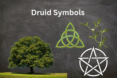 Popular Druid Symbols And Their Meanings Symbolscholar