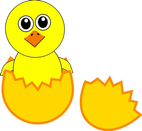 Chicken Cartoon Kifaranga Clip Art Chick Cliparts Png Download 2395