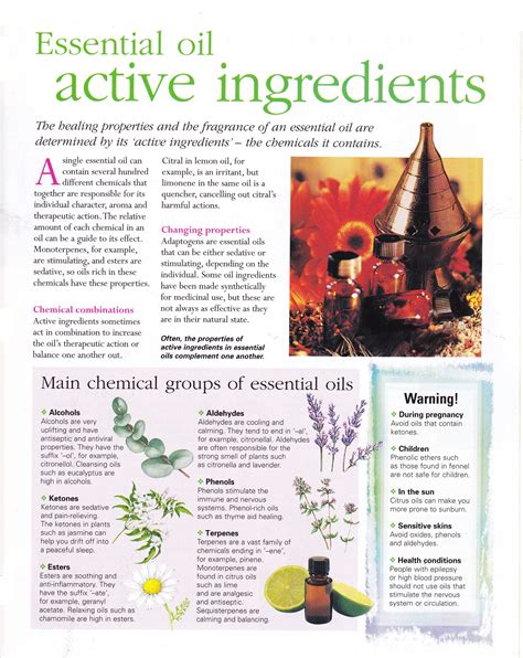 Essential Oil Active Ingredients What To Know Essential Oils Herbs