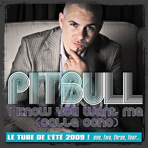 i know you want me calle ocho single by pitbull spotify