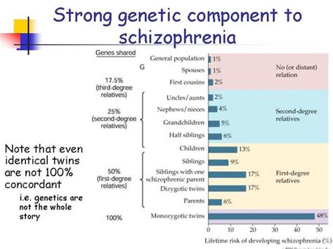 Genetic Or Biological Causes Of Schizophrenia Mindauthor