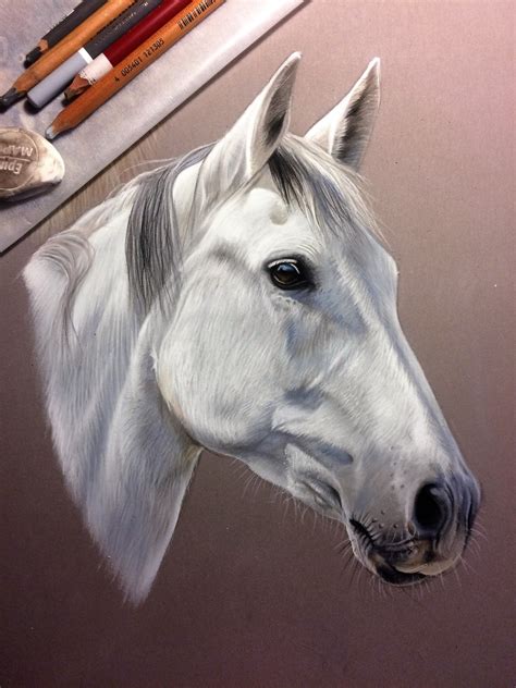 Cheval Gris Portrait Animalier Réalisé Au Pastel Horses Watercolor