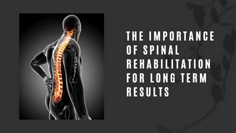 The Importance Of Spinal Rehabilitation For Long Term Results Trinity Chiropractic