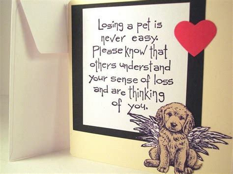 From loved ones to pet sympathy cards, browse our wide selection of designs. Pin by Susie White on Rainbow Bridge | Dog sympathy card, Dog sympathy, Pet sympathy cards
