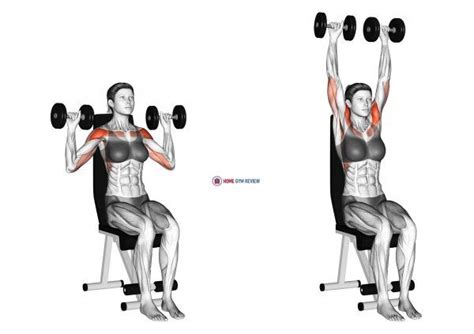 Dumbbell Standing Lateral Raise Female Home Gym Review