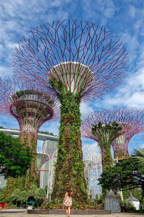Gardens by the bay singapore ticket at flat 15% off. Stepping Into The Future at Gardens By The Bay | Explore Shaw
