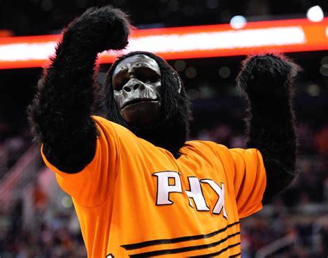 Phoenix suns gorilla (page 1) phoenix suns gorilla slides into action, pounces on stray object during play miami university bans hoverboards these pictures of this page are about:phoenix suns gorilla Suns 5-On-5: Breaking Down The New Look