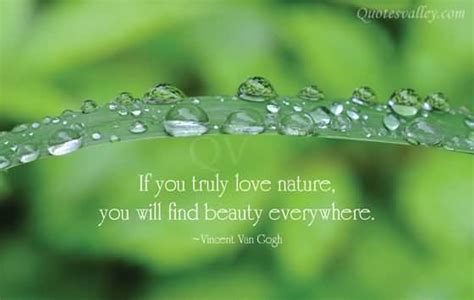 Natural Beauty Quotes Quotesgram