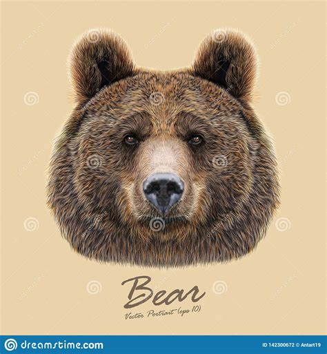 Bear Animal Face Grizzly Brown Bear Head Portrait Realistic Fur