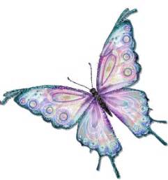 Animation Bundle: Butterfly Animation Butterfly Gif ...