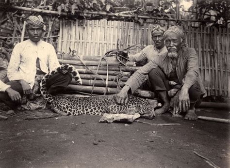 Berburu Macan Tutul Di Wilayah Gunung Arjuno 2 1912 Gambar Kuno