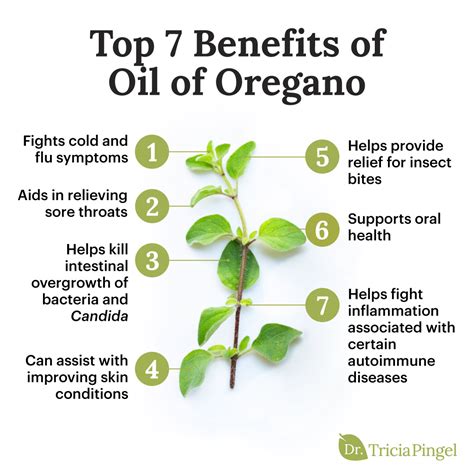 Health Benefits Of Oregano Oil