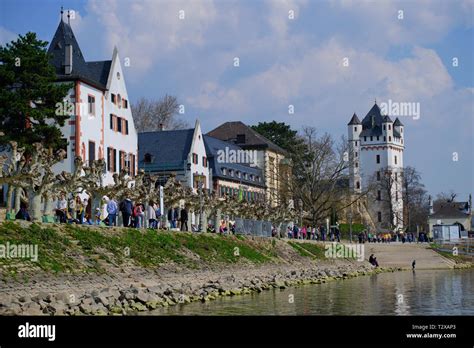 Germany Rheingau Eltville River Rhine Hi Res Stock Photography And