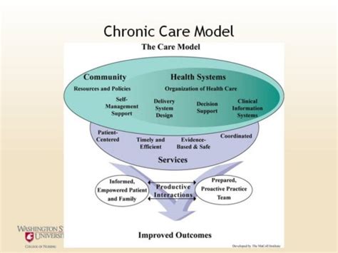 All Patients With Chronic Illnesses Make Decisions And Engage In