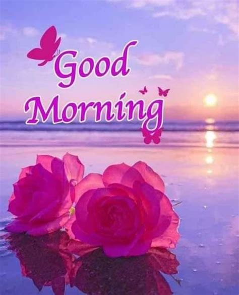 Good Morning Sunrise Greetings 🙏 Good Morning Flowers Quotes Good