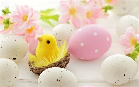 Spring Baby Chicks Wallpapers Wallpaper Cave