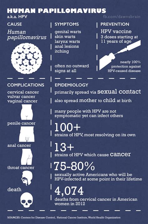 Hpv And Anal Cancer Philadelphia Fight