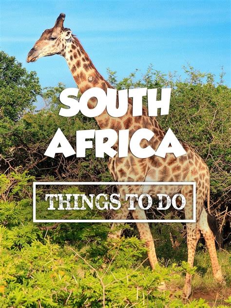 Things To Do In South Africa