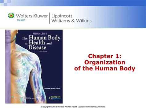 Ppt Chapter 1 Organization Of The Human Body Powerpoint Presentation