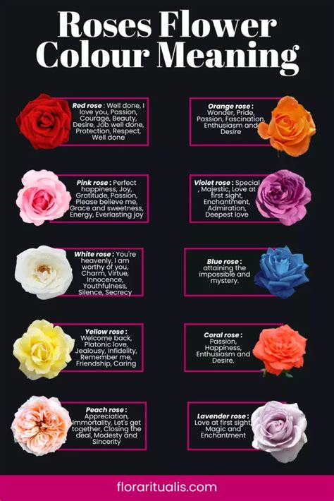 Rose Flower Meaning The Ultimate Guide Flora Ritualis