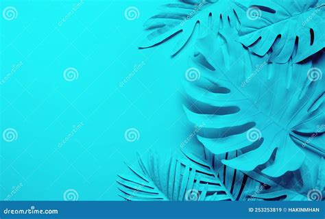 Collection Of Tropical Leavesfoliage Plant In Pastelcolorful Stock