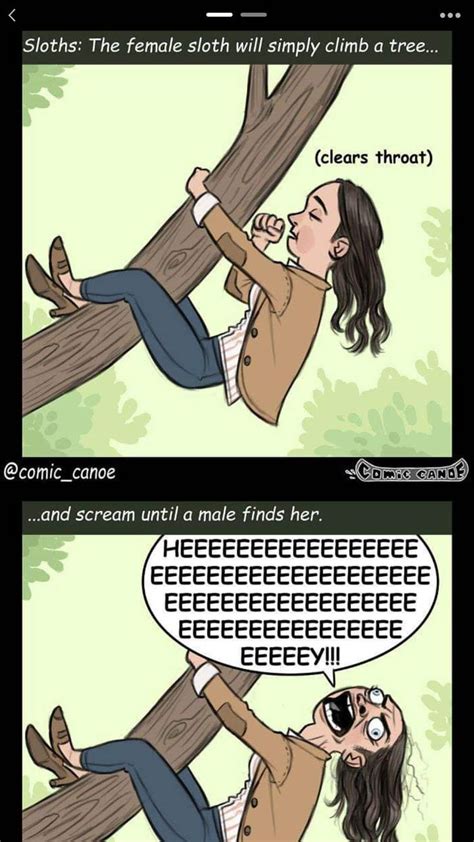 Pin By Hannah Rose On Memes Memes Comics Sloth