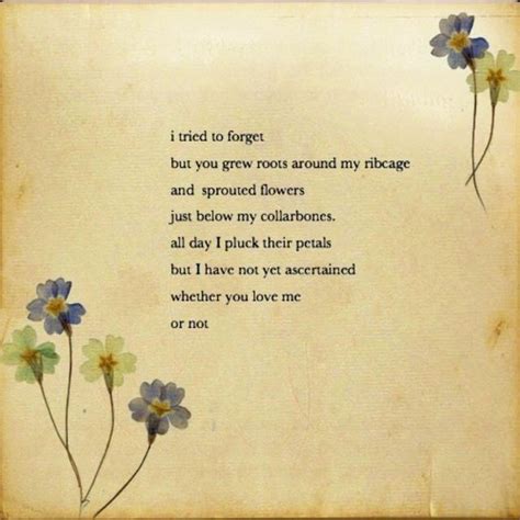 Complicated Ribcage And Flower Image Love Poems Poetry Words Poems