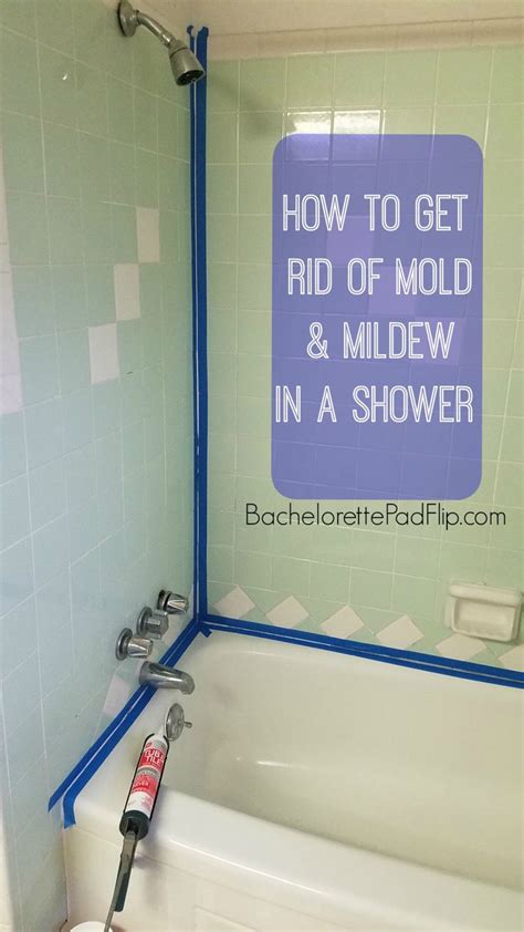 Once removed, look beneath the shower head's swivel ball to find the rubber washer. How to Get Rid of Mold & Mildew In a Shower | Mold in ...