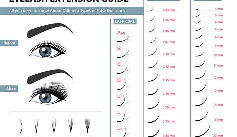 printable eyelash extension manual
