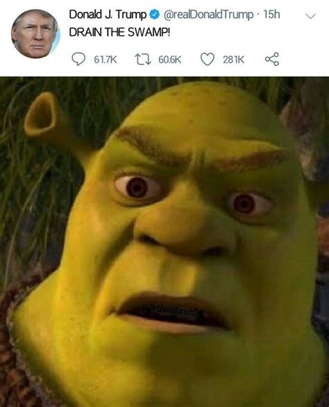 Cara De Shrek Meme Shrek Dankmemes Aesthetic Perfection Cringe