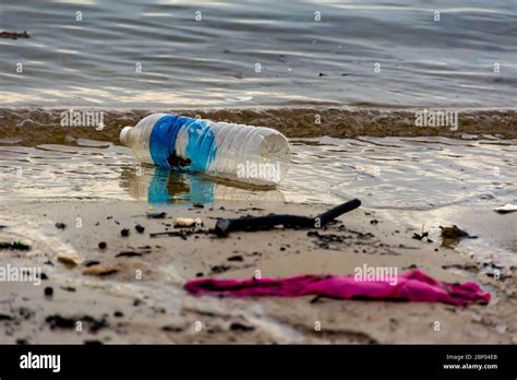Plastic Water Bottle Trash On A Bay Polluting The Ocean Plastic Trash