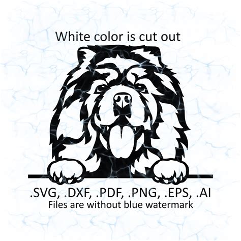 Chow Chow Svg Vector Chow Chow Logo Pdf Dxf Ai Eps Png Etsy