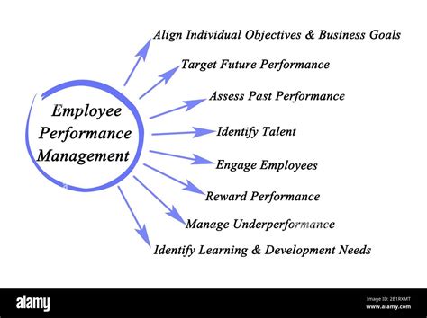 Components Of Employee Performance Management Stock Photo Alamy