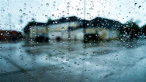 We did not find results for: Rain HD Wallpaper (75+ images)