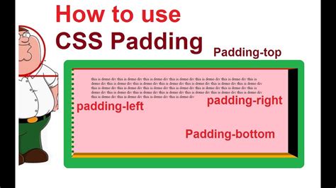 How To Padding In Css Css Padding Left Right Bottom Top Youtube
