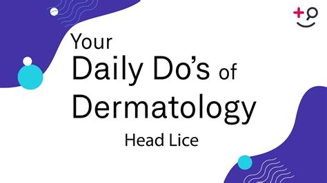Head Lice Daily Do S Of Dermatology Youtube