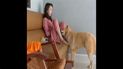 Beautiful Single Mom Feeding And Make Love With Her Dog Youtube