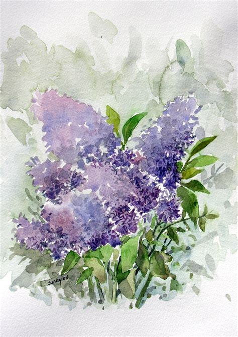 Watercolor Lilac By Sunaysenturk On Deviantart