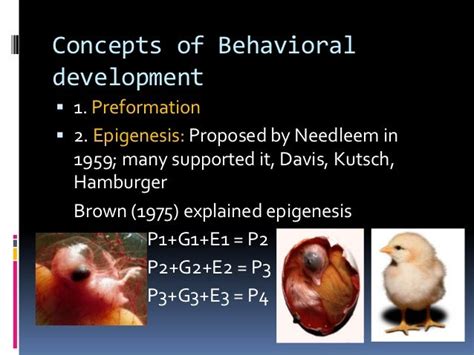 Ethology Development Of Animal Behavior
