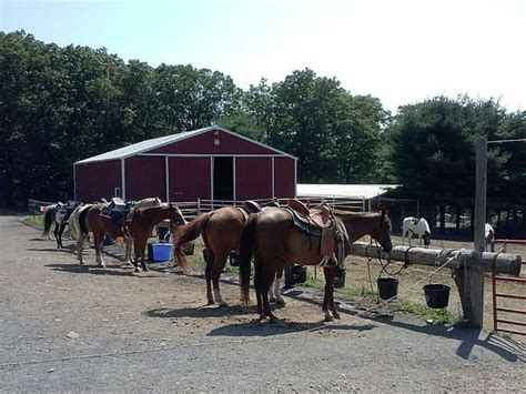 Mountain Creek Riding Stables 2647 Rt 715 Tannersville Pa 18372