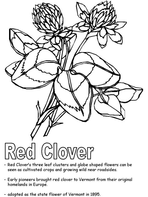 Select from 35919 printable coloring pages of cartoons, animals, nature, bible and many more. Clover Picture - Coloring Home