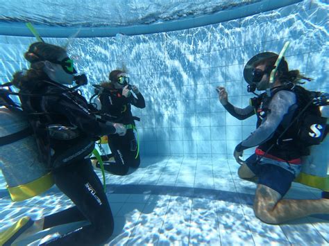 Discover Scuba Diving Pool Session Adrenalin Snorkel And Dive