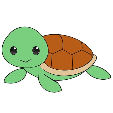 How Draw A Turtle Easy Design Talk