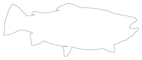 Fish Outline 32 Outlines Of Terrific Printable Fish Free