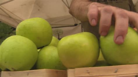 Lincoln Square Apple Fest Brings The Finest Foods Of The Season Youtube